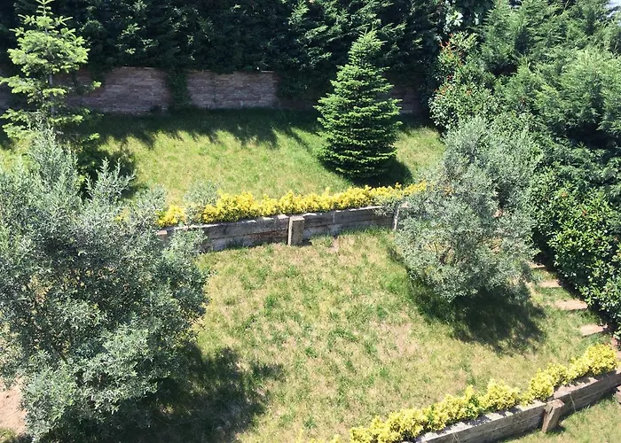 Πανδοχείο Petrol-is Misafirhanesi *